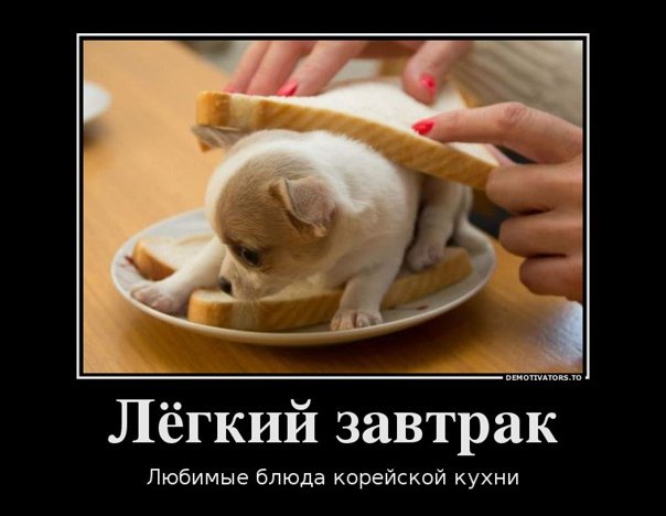 Шутки про завтрак