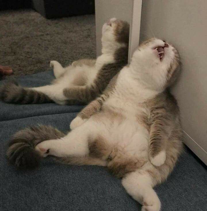 Опять на работу прикол