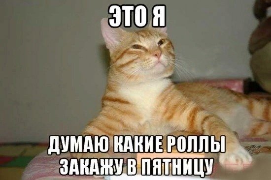 Пятница кот