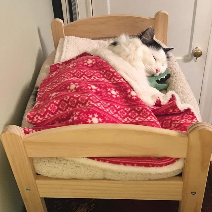 Кровать кошечка