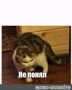 Не понял Мем кот с загрузкой