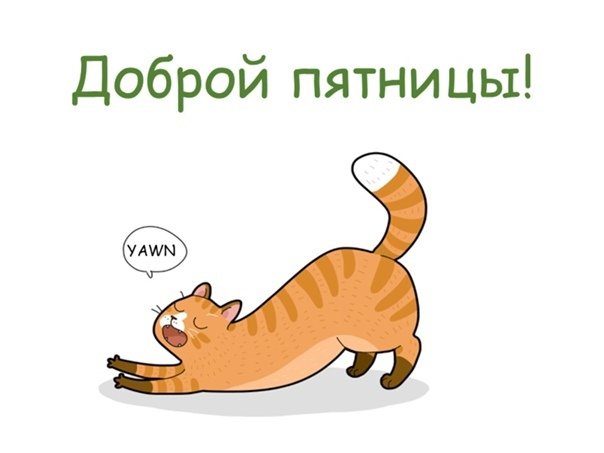 Доброе утро пятницы котики