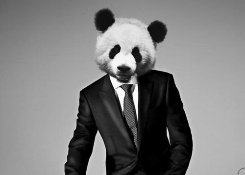 Костюмы зверей