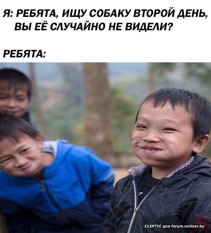 Мем про корейцев и собак