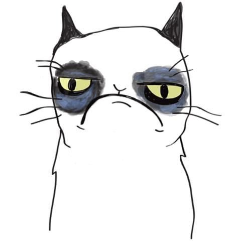 Кот с синяками под глазами Мем