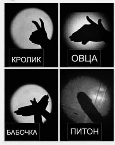 Мем Анаконда тень