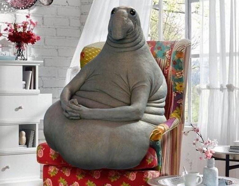 Ждун с надписью