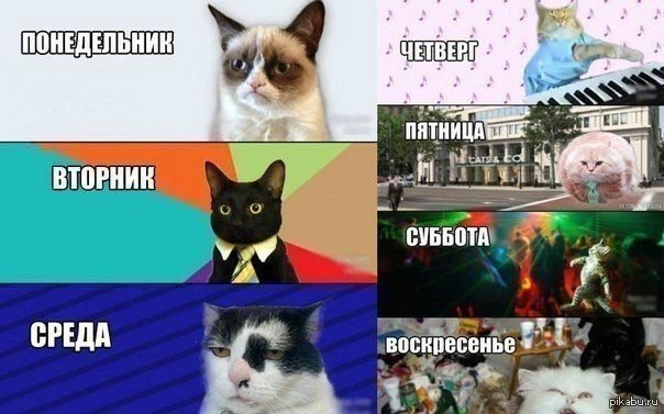 Ponedelnik ftornik sreda chetverg pyatnica Subbota woskresenye