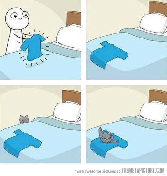 Приколы в постели