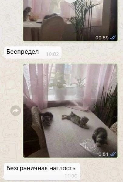 Наглый человек