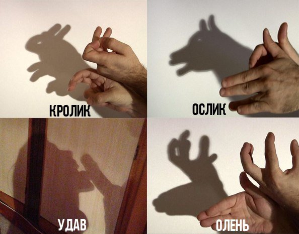 Тень прикол