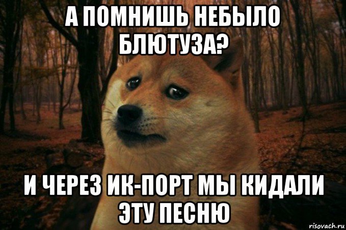 Когда фото пришлешь