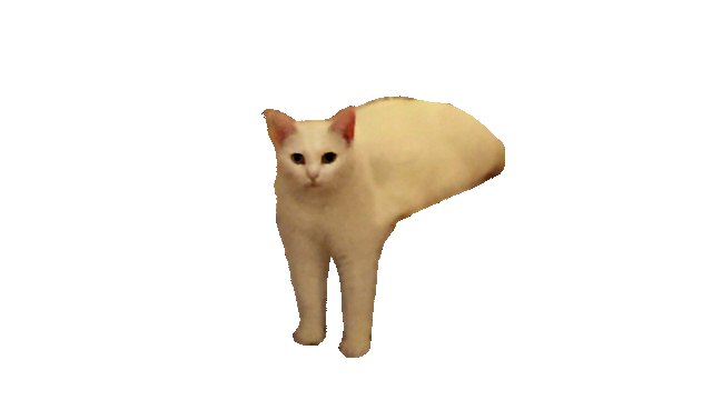 Кот Мем вырезанный