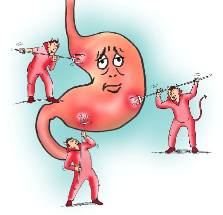 Веселый желудок