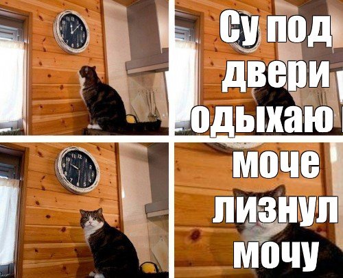 Мем кот пора