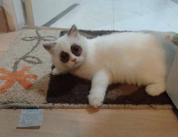 Я после ночной смены