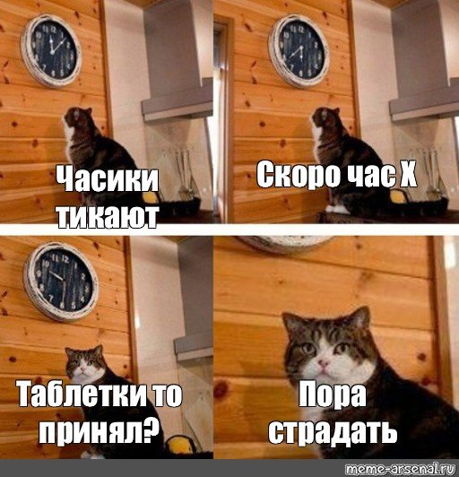 Кот часы пора
