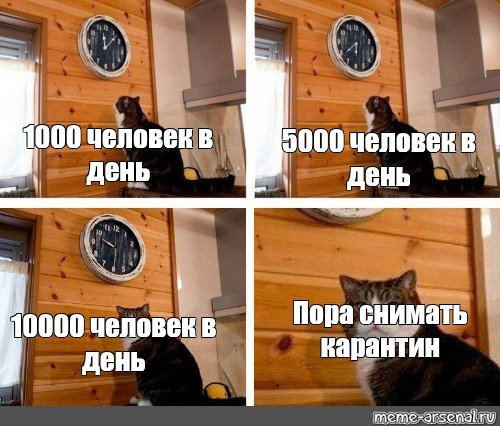 Мэм с котом и часами пора