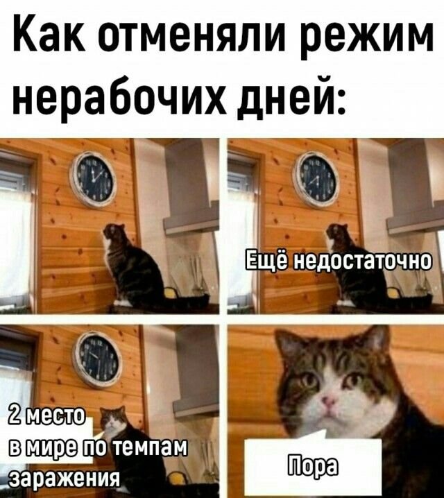 Кот опаздывает