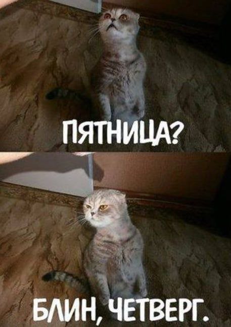 Жду пятницу