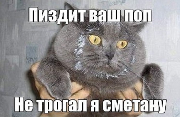 Сметана смешные картинки