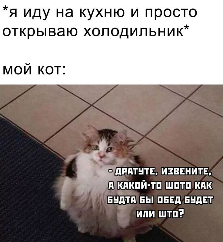Мемы про обед