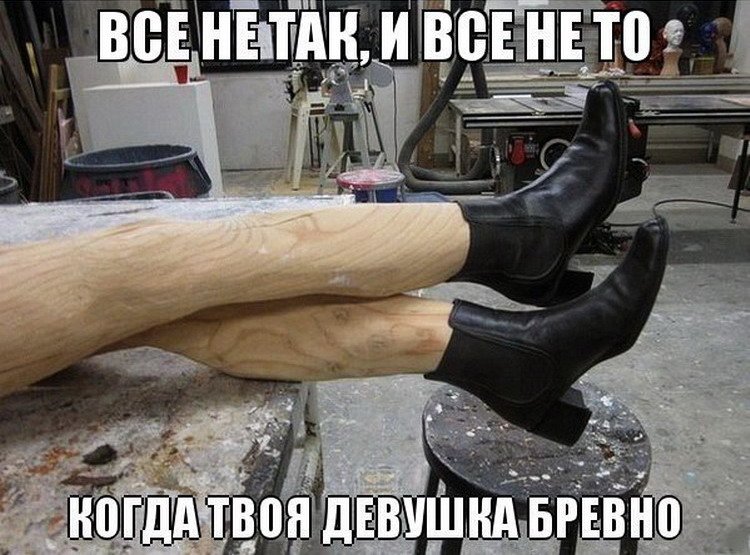 Твоя девушка бревно