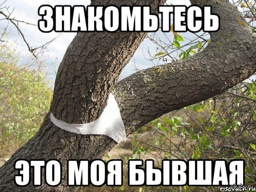 Бывшая бревно