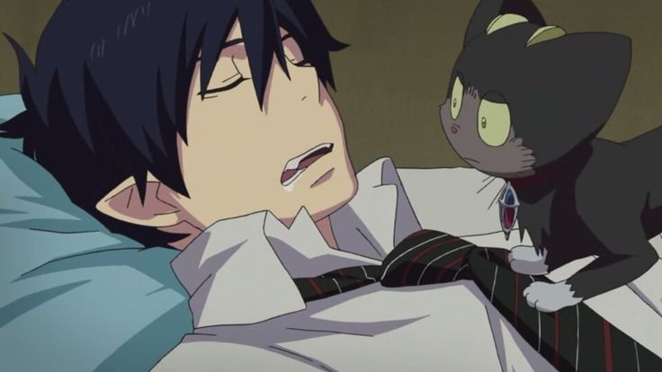 Рин Окумура аниме