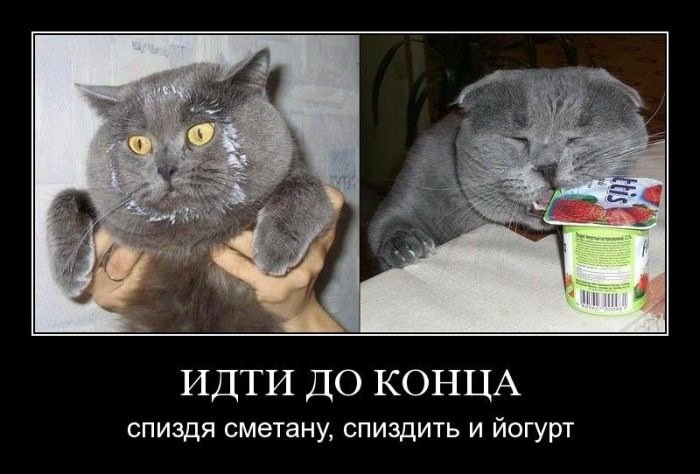 Сметана прикол