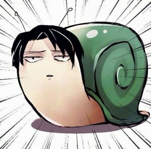 Леви Аккерман улитка