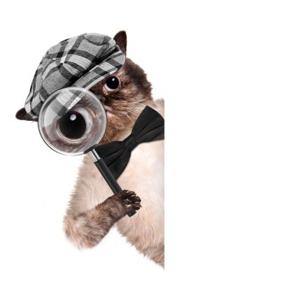 Котик с лупой