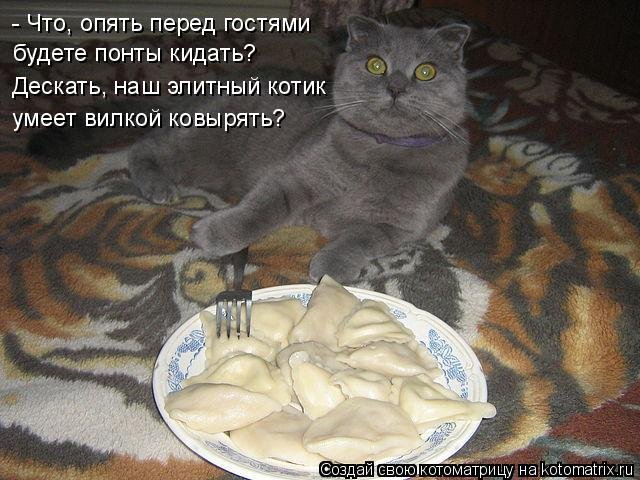 Кот наелся сметаны