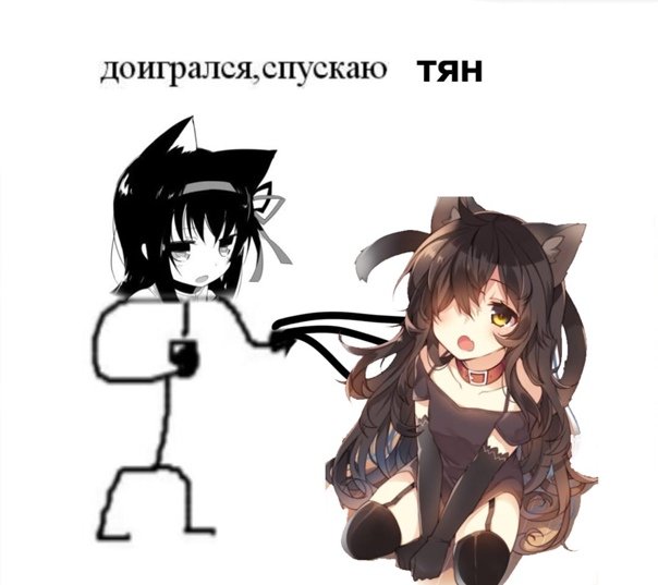 Кошкодевочки мемы