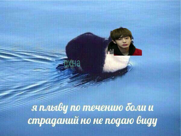 Мем я плыву по течению