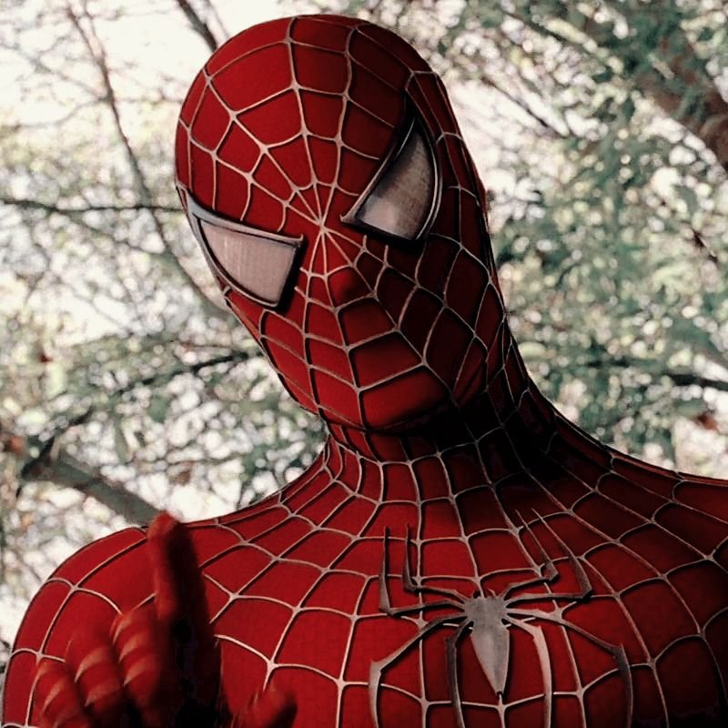 Человек паук СЭМП Рейми