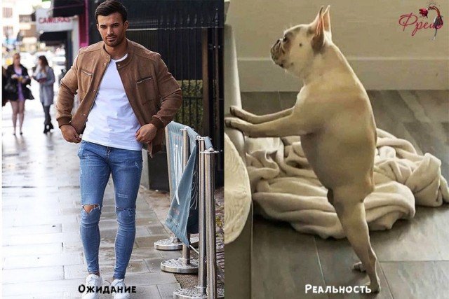 Парень и бульдог