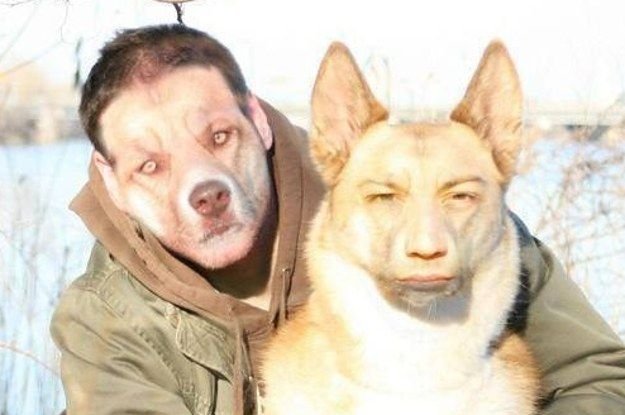 Со ака с лицом человека