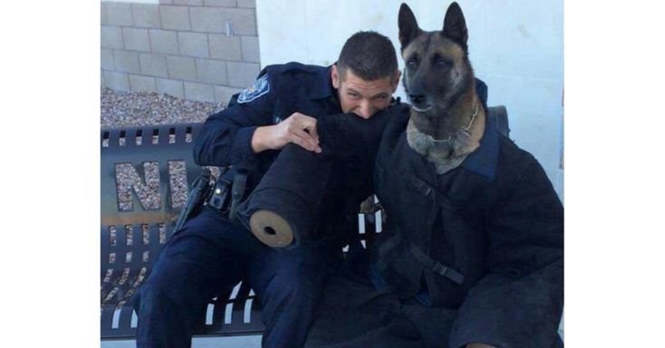 Полицейский с собакой