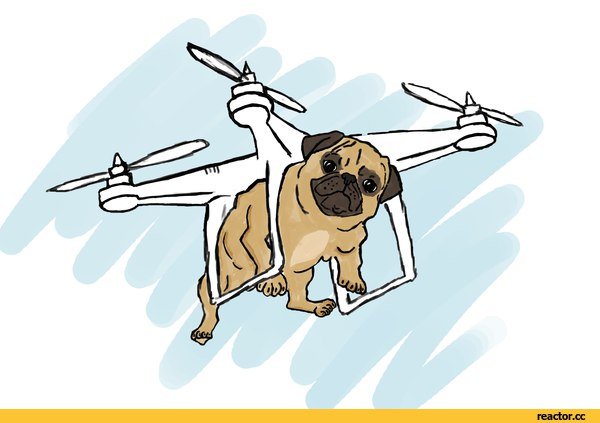 Собака летает мультяшная