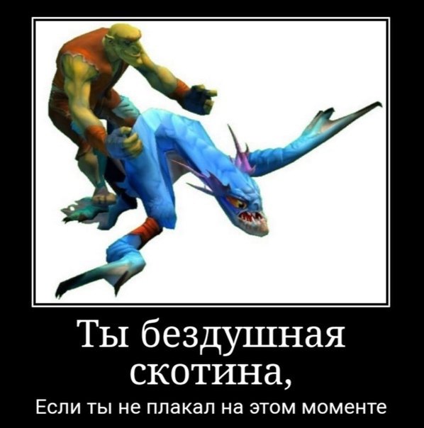 Твое имя дота