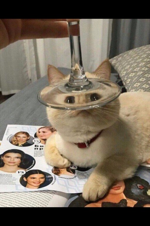 Животные через бокал