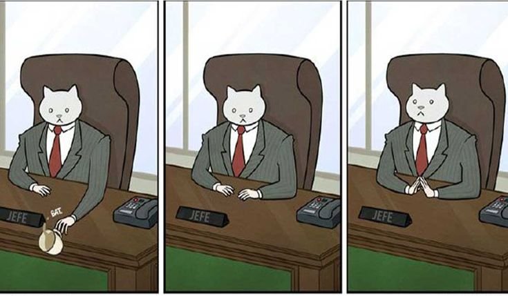 Кот бизнесмен