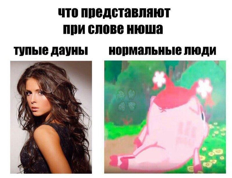 Нюша смешные картинки