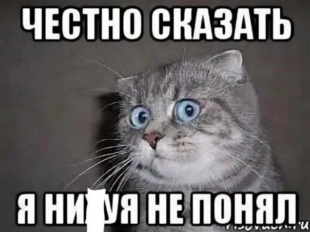 Честно говоря я в ахуе кот