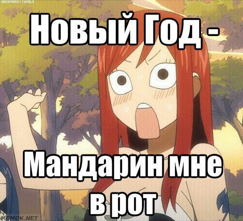 Новогодние мемы аниме