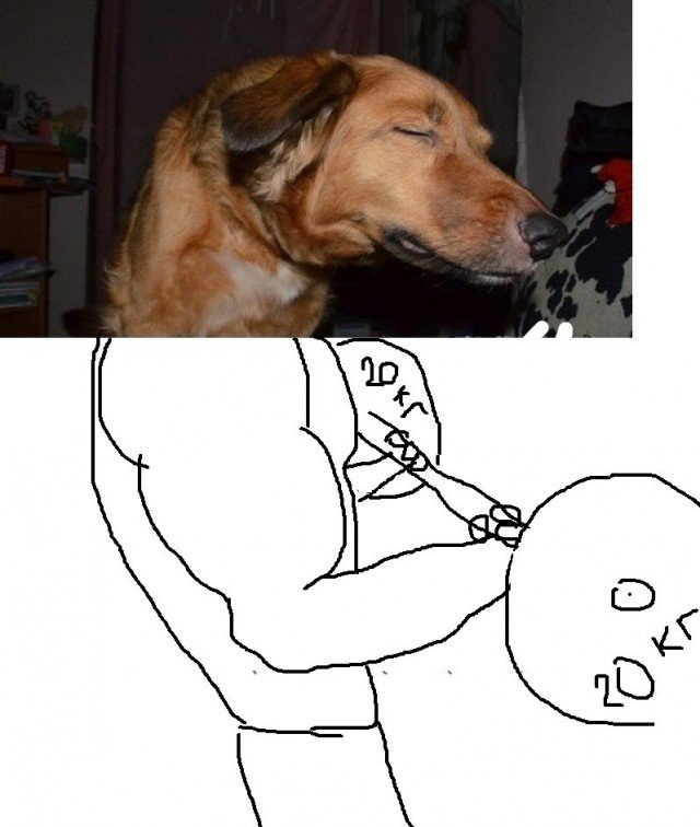 Собака побольше собака поменьше