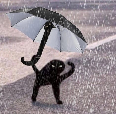 Смешной зонт