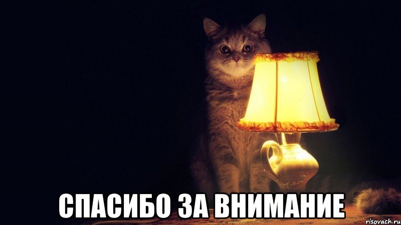 Спокойной ночи котик Мем