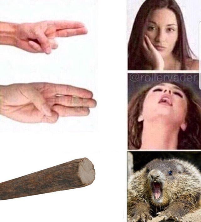 Мемы про бревно